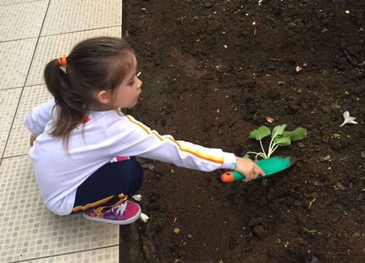 Semana do Meio Ambiente