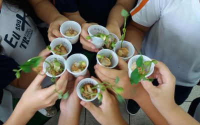 Estudo das Plantas