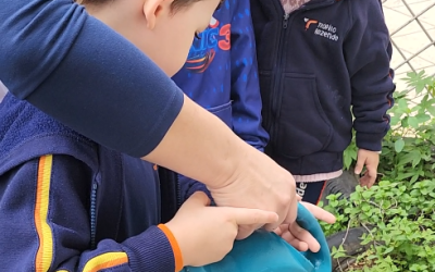 Alimentação saudável também é educação! 🌿